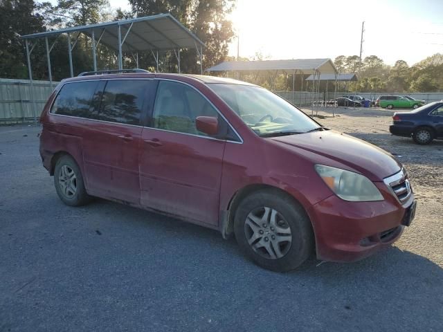 2005 Honda Odyssey EXL