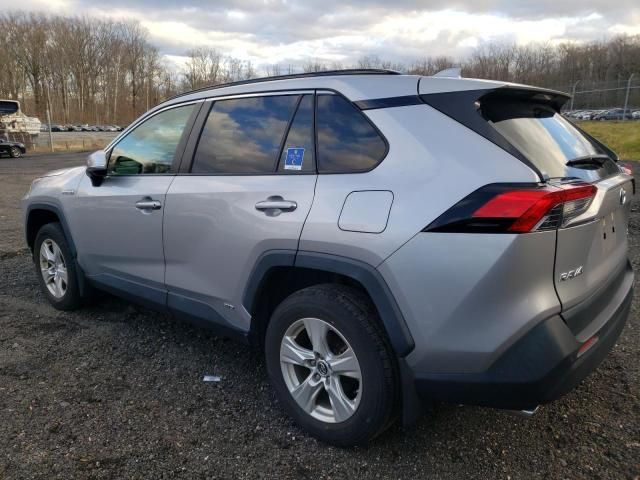 2019 Toyota Rav4 XLE