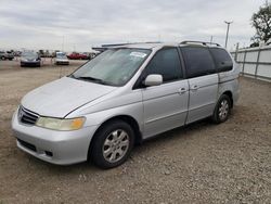 Salvage cars for sale from Copart San Diego, CA: 2004 Honda Odyssey EX