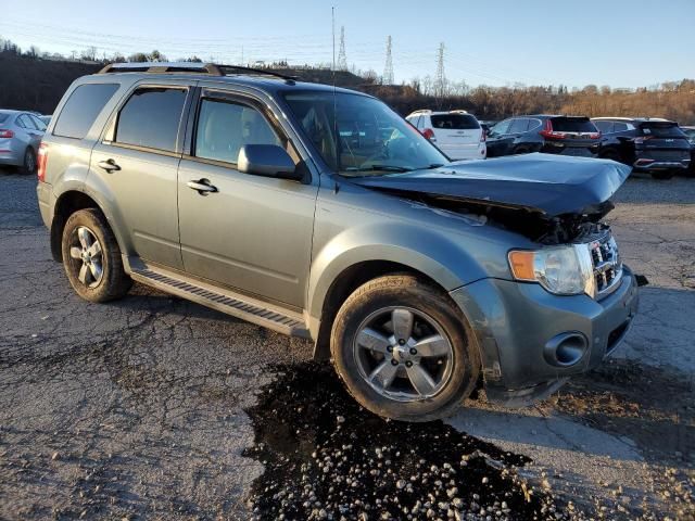 2011 Ford Escape Limited