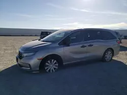 Salvage cars for sale at Adelanto, CA auction: 2021 Honda Odyssey LX