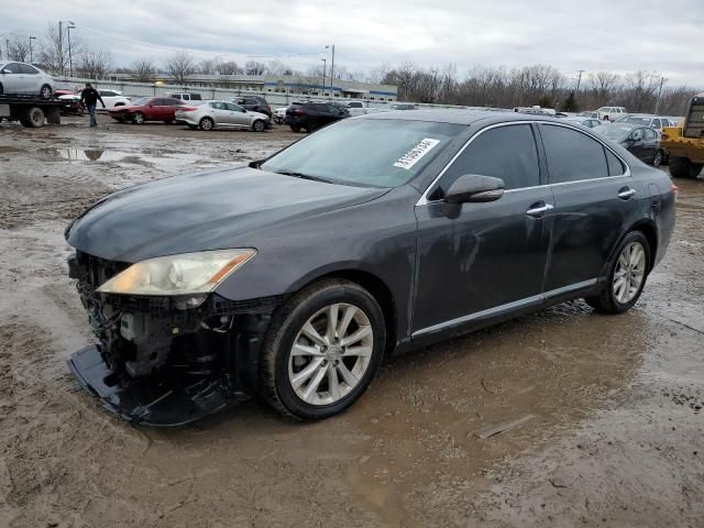 2010 Lexus ES 350