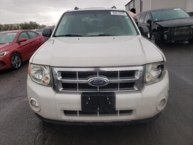 2009 Ford Escape XLT