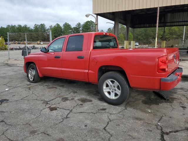 2011 Dodge Dakota SLT