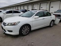 Honda Accord salvage cars for sale: 2014 Honda Accord EXL