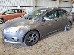 Ford Focus SE salvage cars for sale: 2013 Ford Focus SE