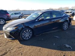 2021 Lexus ES 250 Base for sale in Kansas City, KS