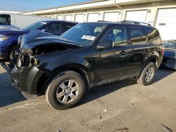 Salvage cars for sale from Copart Louisville, KY: 2010 Ford Escape Limited