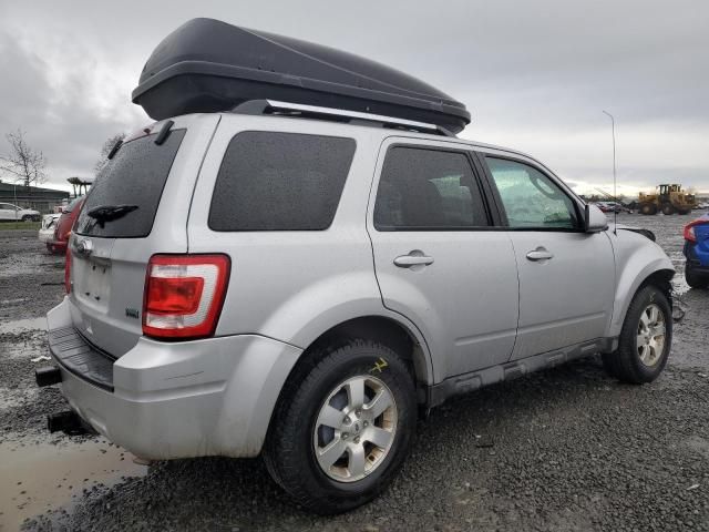 2010 Ford Escape Limited