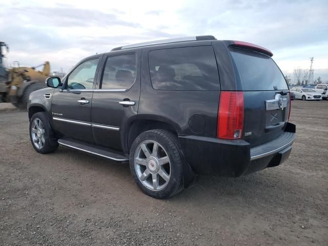 2009 Cadillac Escalade Luxury