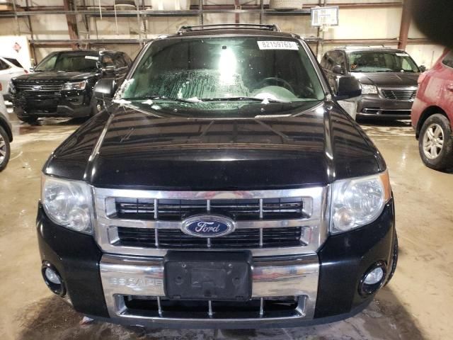 2010 Ford Escape Limited