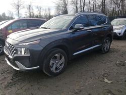 Salvage cars for sale at Waldorf, MD auction: 2023 Hyundai Santa FE SEL Premium