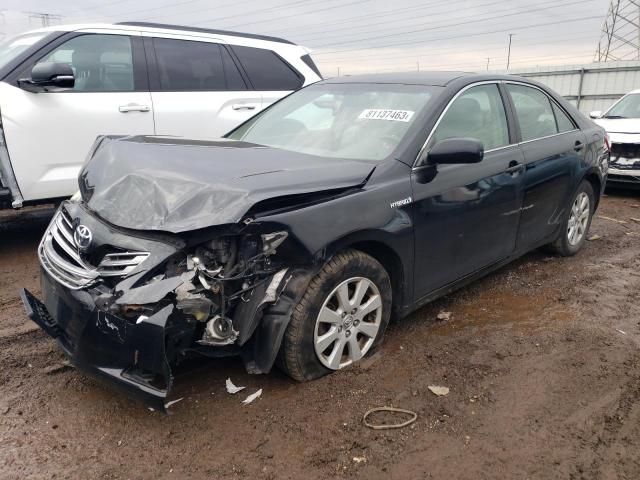 2009 Toyota Camry Hybrid