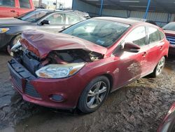 Ford Focus salvage cars for sale: 2014 Ford Focus SE