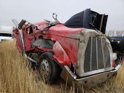 Salvage trucks for sale at Casper, WY auction: 2023 Peterbilt 389