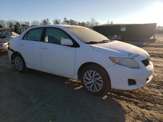 2009 Toyota Corolla Base