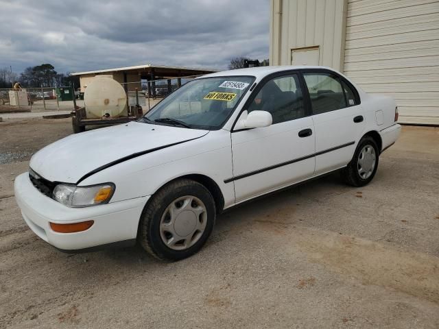 1996 Toyota Corolla DX