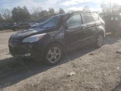 Salvage cars for sale from Copart Madisonville, TN: 2013 Ford Escape SE