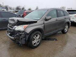 Honda cr-v exl salvage cars for sale: 2010 Honda CR-V EXL