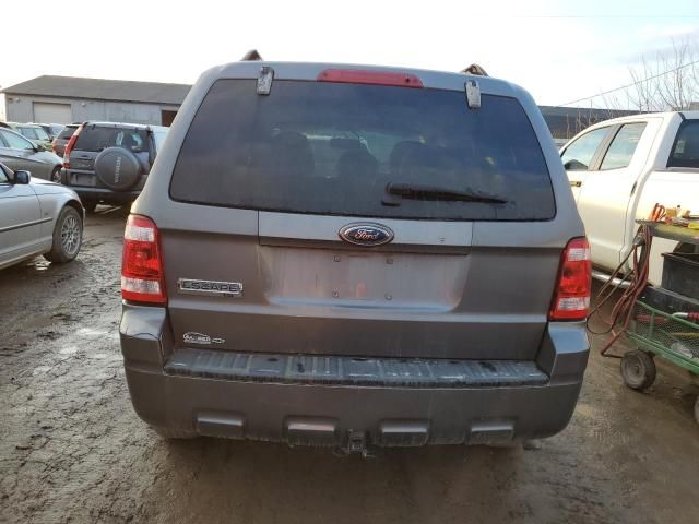 2009 Ford Escape XLT