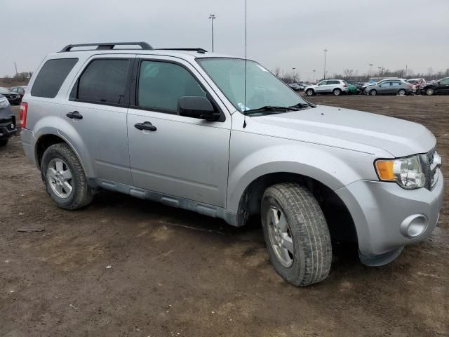 2010 Ford Escape XLT