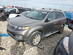 Salvage cars for sale at Haslet, TX auction: 2011 KIA Sorento EX