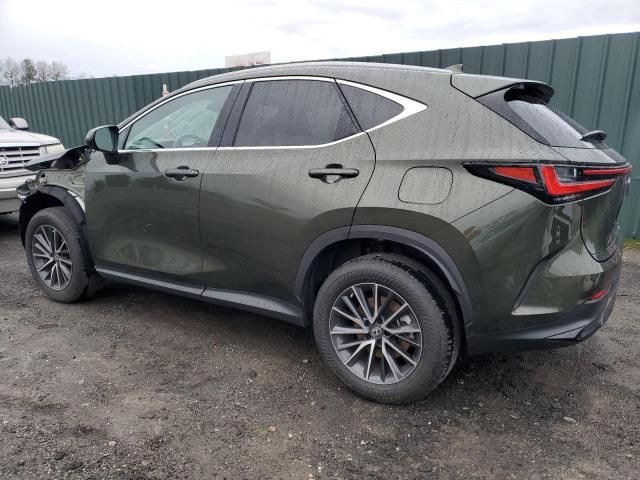 2023 Lexus NX 350