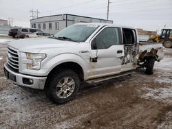 Salvage cars for sale at Bismarck, ND auction: 2016 Ford F150 Supercrew