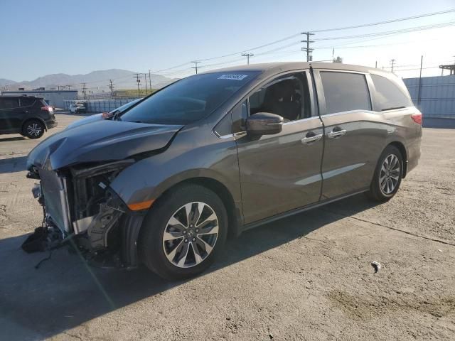 2023 Honda Odyssey EXL