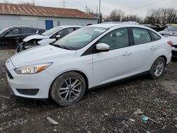 Salvage cars for sale from Copart Columbus, OH: 2015 Ford Focus SE