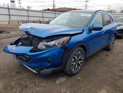 Salvage cars for sale at Chicago Heights, IL auction: 2020 Ford Escape SEL