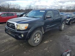 Salvage cars for sale from Copart Marlboro, NY: 2006 Toyota Tacoma Double Cab