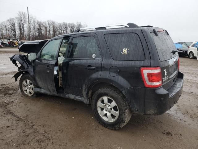 2010 Ford Escape Limited