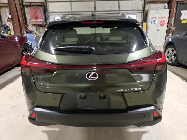 2023 Lexus UX 250H Premium