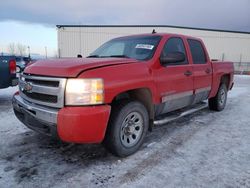 Vehiculos salvage en venta de Copart Rocky View County, AB: 2010 Chevrolet Silverado K1500 LS