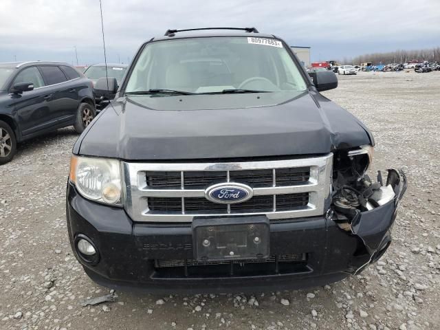 2010 Ford Escape XLT