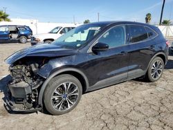 Ford salvage cars for sale: 2021 Ford Escape SE