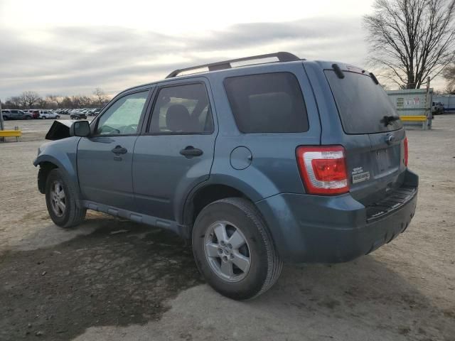 2010 Ford Escape XLT