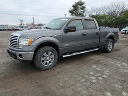 Salvage cars for sale from Copart Lexington, KY: 2011 Ford F150 Supercrew