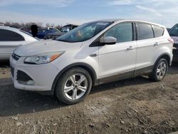 Vehiculos salvage en venta de Copart Cahokia Heights, IL: 2014 Ford Escape SE