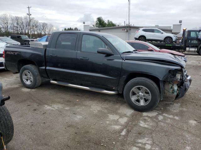 2008 Dodge Dakota SXT