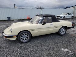 Salvage cars for sale at Albany, NY auction: 1987 Alfa Romeo Spider Veloce