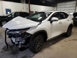 2024 Lexus NX 350 Base for sale in Ham Lake, MN