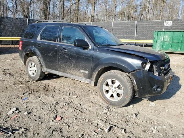 2008 Ford Escape Limited