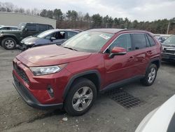 Toyota Rav4 salvage cars for sale: 2019 Toyota Rav4 XLE