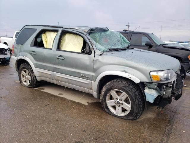 2005 Ford Escape HEV