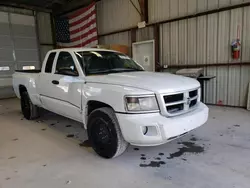 Salvage trucks for sale at Sikeston, MO auction: 2011 Dodge Dakota SLT