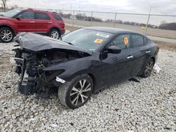 Salvage cars for sale at Cicero, IN auction: 2016 Nissan Maxima 3.5S