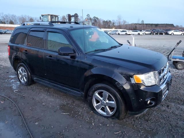 2012 Ford Escape Limited