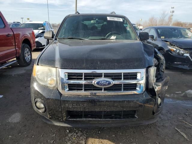 2012 Ford Escape XLT